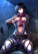 Mikasa should be the goddess of this sub.
