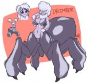 December the fluffy jumping spider