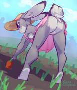 Judy picking carrots [F]