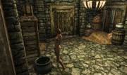 My Skyrim character tries her best to piss into a kettle