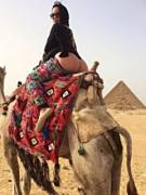 Fat ass riding a camel