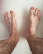 Boston Feet - tops
