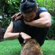 Forearms and a cat? Am I doing this right?
