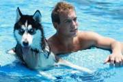 Hot guy with a demon dog in the pool...