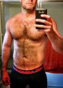 Perfect hairy chest