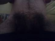 Was told I need to shave. What do you think?