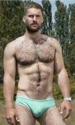 hairy abs