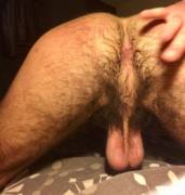 Hairy ass and balls (X-Post /r/lowhangingballs)