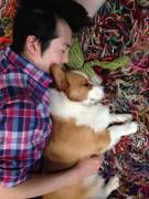 Corgis are awesome. So is my boyfriend.