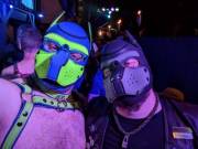 Had a great time at the Atlanta Eagle with the local pups for Leather Pride!