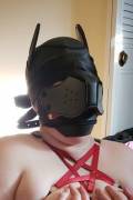 Recently converted pup (ft new ballgag)