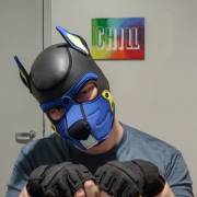 Someone should discipline this pup!