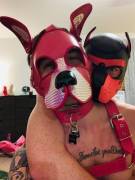 Play date went well for us pink pups 