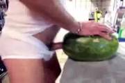 Watermelon humping