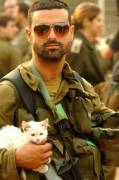Since you've all been so good, here's a collection of (mostly) Military Men with cute animals. 