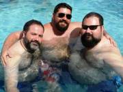 Hot trio of bears in the pool.
