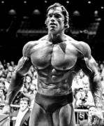 Arnold Schwarzenegger in his prime