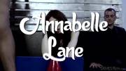 Annabelle Lane - Transsexual Gangbangers