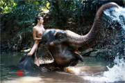 Girl riding an elephant.