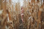 Walk in the corn field
