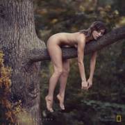 National Geographic captured this wild girl sleeping on a tree