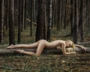 Blondie sleeping in the woods