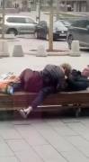Get A Room! Blowjob and caress on the bench. People walk around. [gif]