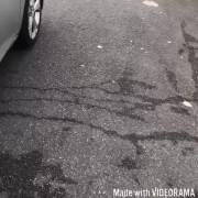 get out of the car naked on the road [gif]