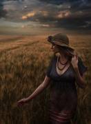 Dark sky over fields of wheat
