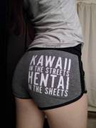 Kawaii in the Streets, Hentai in the Sheets