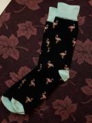 What are your thoughts on flamingos? (Society Socks)