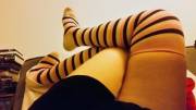 Cute Stripey Thigh Highs!