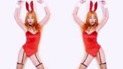 Bunnies in red