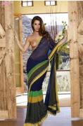 Eva Lovia in a transparent saree without choli