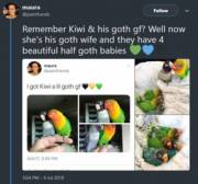 A parrot instead of a tit, but he's got a goth gf