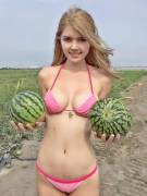 Great Melons