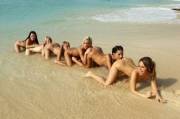 Sexipede on the beach