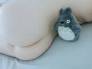 [f] Totoro and my butt ✨