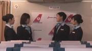 Japanese Airline