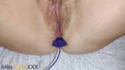 purple buttplug [OC][F]