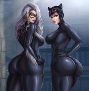 Black Cat vs Catwoman (Flowerxl) [DC Comics / Marvel Comics]
