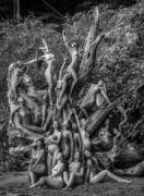 Tree of Nudes (B&amp;W)