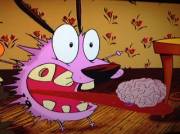 Courage The Cowardly Dog's brain