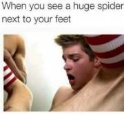 When you see a huge spider next to your feet