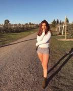 In a vineyard