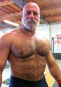 gym bear
