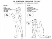 Patented Obedience Collar [F Human → F Humanoid Feral Dog] by KoopaCap