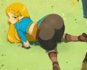Zelda in the wild (Merunyaa) [Legend of zelda]