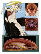 "Orca Vore" [furry][oral][soft][m][sequence][unwilling]