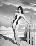 Italian actress Claudia Cardinale models a striped swimsuit on the beach, circa 1965